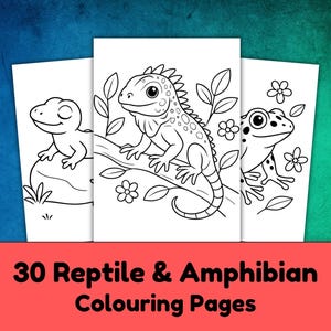 May include: Three white coloring pages featuring reptile and amphibian illustrations. The pages include a lizard on a branch, a frog, and a salamander. The text at the bottom reads "30 Reptile & Amphibian Colouring Pages."
