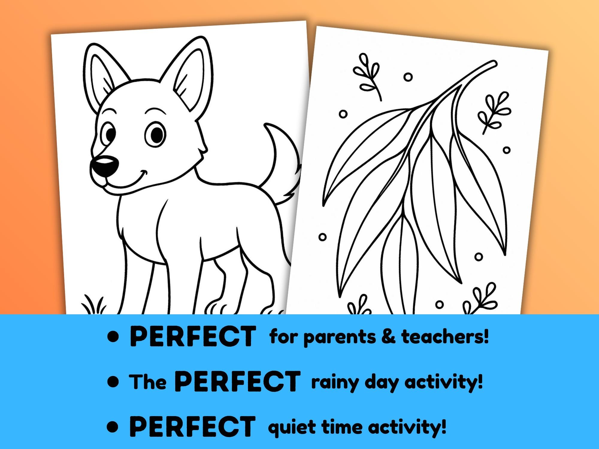 Outback Colouring 20 Australian Outback Colouring Pages | Aussie Animals Colouring | Kids ...
