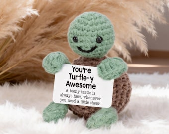 May include: A handmade crochet turtle toy with a green head and limbs, and a brown shell. The turtle holds a white sign that reads "You're Turtle-y Awesome". The sign also says "A teeny turtle is always here, whenever you need a little cheer."