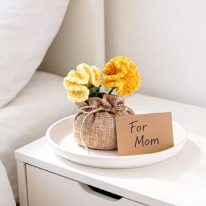 Crochet Carnation Pot, Mother's Day Gift for Mom, Handmade Knitted Flower in Burlap Sack, Rustic Desk Decor,Everlasting Floral,Gift from Kid