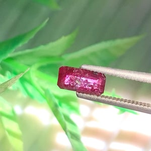 May include: A rectangular, pink gemstone is held by silver tweezers. The gem is faceted and has a vibrant, saturated colour, appearing translucent. The background features blurred green foliage, creating a natural setting for the gem.