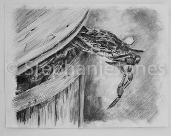 Fine Art print of my  Drawing painting  nautical art Blue Claw Crab 8x10 crabbing bushel