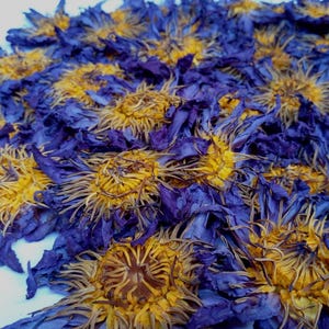 May include: A close-up of dried blue lotus flowers with yellow centers. The flowers are arranged in a pile, with the petals of the flowers in full view. The image is well-lit and the colors are vibrant.
