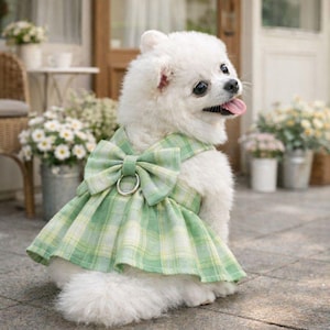 white christmas dresses Santa Paws Christmas Dog Dress main image 1