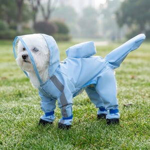 Puede incluir: Un perro blanco pequeño que lleva un impermeable azul claro con capucha y botines adjuntos. El impermeable tiene rayas reflectantes y una pequeña característica similar a una mochila en la espalda. El perro está sobre hierba verde.