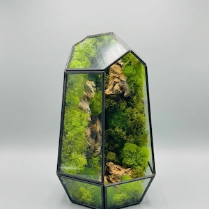 May include: A geometric terrarium with a black metal frame and clear glass panels. The interior is filled with vibrant green moss and pieces of wood, creating a miniature landscape. The terrarium has a unique, angular shape.