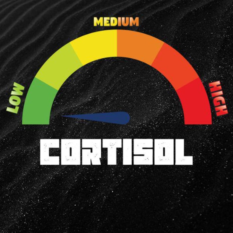 Puede incluir: Un medidor con una escala curva, que va del verde (Bajo) al rojo (Alto), con la palabra "Cortisol" en letras blancas. La aguja apunta hacia el extremo inferior de la escala. El fondo es negro texturizado.