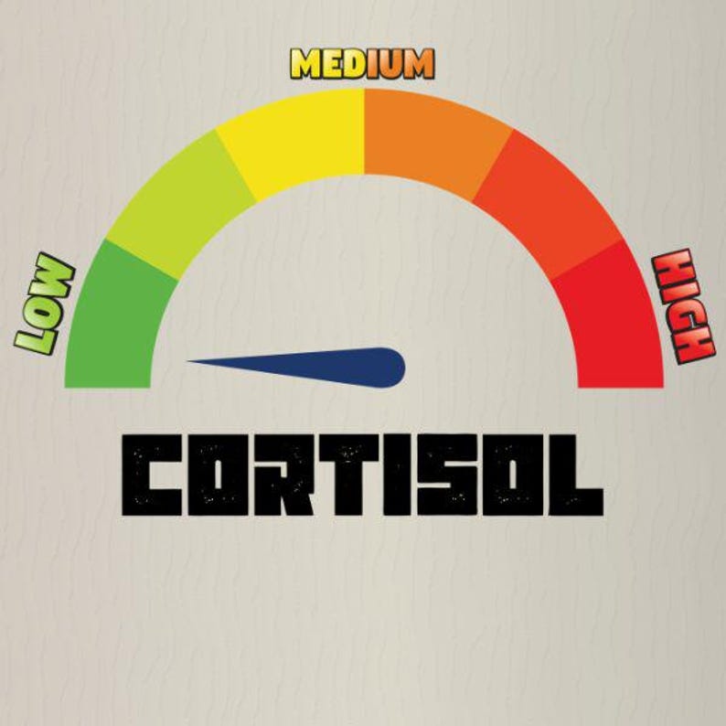 Puede incluir: Un indicador de nivel de cortisol con una aguja azul. El indicador est&aacute; dividido en secciones verdes (bajo), amarillas, naranjas (medio) y rojas (alto). La palabra "CORTISOL" est&aacute; impresa en negrita negra debajo.