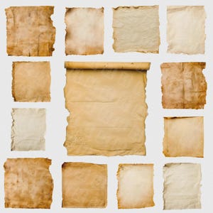 May include: A collection of aged paper pieces with torn edges and a vintage aesthetic. The papers vary in size and shape, with a range of brown and beige tones, some with visible text. Ideal for crafting or scrapbooking projects.