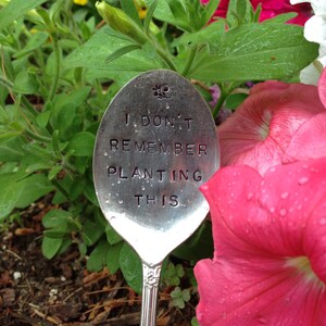 Hand Stamped Silver Garden Spoons, Garden Spoons, Garden Markers, Herb Garden Markers, Christmas Gift, Hostess Gift, Gift for the Gardener image 3