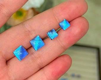 Real Butterfly Wing Stud Earrings, Nature Jewelry Gift for Her