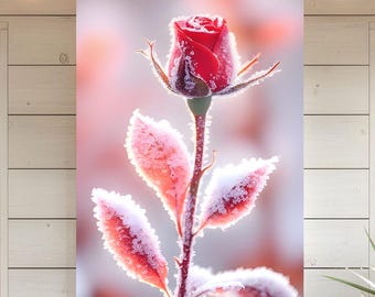 Rosa roja escarchada imprimible: arte romántico de pared con flores de invierno, decoración botánica suave para el dormitorio