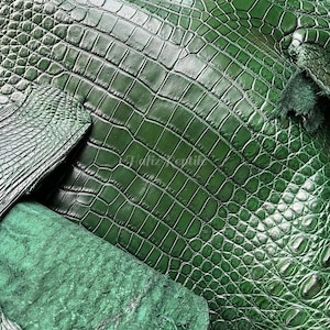 Könnte beinhalten: Nahaufnahme von smaragdgrünem Krokodilleder mit einem strukturierten, schuppenartigen Muster. Das Leder hat eine glänzende Oberfläche und sichtbare natürliche Markierungen. Das Bild zeigt die Details der Haut, einschließlich der Schuppen und der Kanten des Leders.