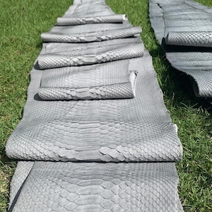 Könnte beinhalten: Mehrere graue Pythonlederhäute liegen auf grünem Gras. Einige Häute sind gerollt und zeigen die strukturierte Schuppen. Die Häute haben einen einheitlichen Grauton mit leichtem Glanz. Das Bild zeigt die natürlichen Muster und Texturen des Leders.