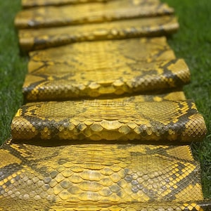 Pelle di pitone autentica / Pelle di ventre reticolata gialla non sbiancata proveniente da conceria indonesiana