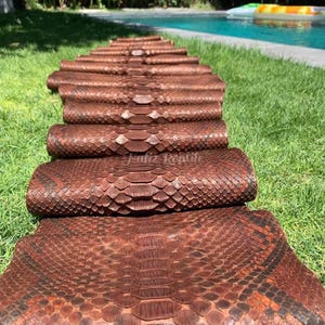 Könnte beinhalten: Mehrere Rollen braunen Reptilleders liegen auf grünem Gras. Das Leder hat ein Schuppenmuster und eine satte, rotbraune Farbe. Der Text "Faliz Reptile" ist auf dem Leder zu sehen. Im Hintergrund befindet sich ein Swimmingpool.