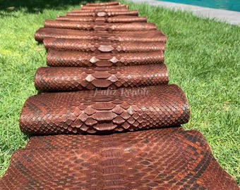 Genuine Python Leather Skin | Copper Brown Reticulated Belly Skin Unbleached from Indonesian Tannery