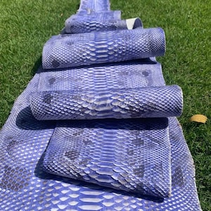 May include: Several sheets of blue snakeskin leather are arranged on green grass. The leather is a vibrant blue with darker blue and gray markings, and the texture of the scales is clearly visible. Some sheets are rolled.