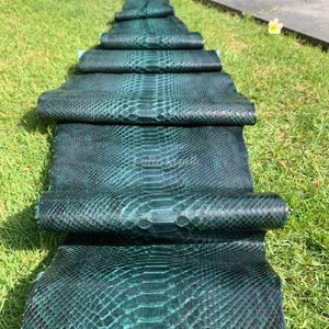 May include: A stack of rolled, teal-colored python leather hides. The hides are arranged on green grass, showcasing the intricate scale pattern and color variations. The leather appears supple and ready for crafting.