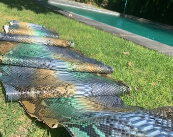 Peau de cuir de python véritable | Ventre réticulé vert turquoise, non blanchi, provenant d'une tannerie indonésienne
