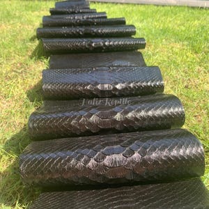 May include: Several pieces of black reptile leather are laid out on green grass. The leather is arranged in a staggered formation, displaying the textured scales. The text "Taliz Reptile" is visible on one of the pieces.