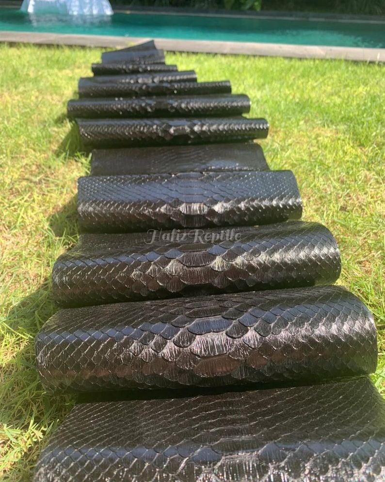 Peut inclure: Plusieurs pi&egrave;ces de cuir de reptile noir dispos&eacute;es sur de l'herbe verte. Le cuir est dispos&eacute; en quinconce, mettant en valeur les &eacute;cailles textur&eacute;es. Le texte "Taliz Reptile" est visible sur l'une des pi&egrave;ces.
