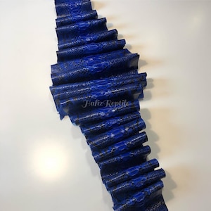 Äkta pytonläder | Kungsblått nätskinn i magen, oblekt från indonesiskt garveri