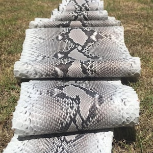 Può includere: Diversi pezzi arrotolati di pelle di serpente nei toni del grigio, bianco e nero sono disposti su erba secca. La pelle di serpente presenta un caratteristico motivo di squame e segni, con una sfumatura dal bianco al grigio.