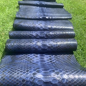 Echte Pythonlederhaut | Dunkelblaue Retikulierte Bauchhaut Ungebleicht aus Indonesischer Gerberei