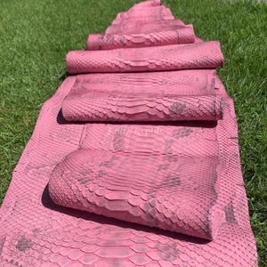 Può includere: Pelli di pitone rosa, arrotolate e impilate su erba verde. Le pelli hanno un motivo a scaglie con segni grigi più scuri. La pelle è di un colore rosa vibrante e la trama è visibile. L'immagine mostra diversi pezzi di pelle.