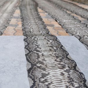 Può includere: Diverse pelli di serpente sono esposte, mostrando un motivo di squame grigie, nere e bianche. Le pelli sono disposte su una superficie grigio chiaro, con alcune sezioni sovrapposte a un'area piastrellata marrone e beige.