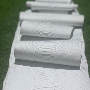 May include: White python leather rolls and sheets are arranged on a green surface. The leather has a scale pattern and is in various stages of being rolled up. The image is well-lit, highlighting the texture and color of the leather.
