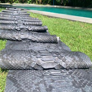 以下が含まれることがあります： 濃い灰色のヘビ革のロールがいくつか、緑の芝生の上に置かれています。 ヘビ革は鱗模様で、部分的に丸まっています。 背景にはプールが見えます。