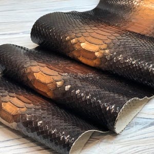 Puede incluir: Primer plano de un trozo de cuero de reptil doblado. El cuero es una mezcla de marrón oscuro y marrón claro, con una textura escamosa. Las escamas tienen un ligero brillo y el cuero parece flexible. Los bordes del cuero son visibles, mostrando una parte inferior de color más claro.