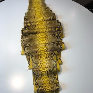 以下が含まれることがあります： 白地の表面に、鱗模様の黄色と茶色のヘビ革が展示されています。 ヘビ革は層状のパターンに折りたたまれ、自然な質感と色のバリエーションを示しています。 皮膚は大きなヘビのものであるようです。