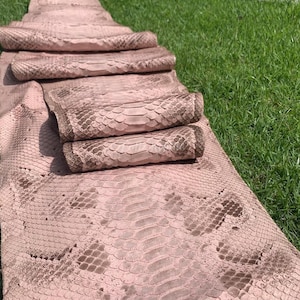Op de afbeelding: Verschillende stukken slangenleer, sommige opgerold en andere plat, in roze en bruine tinten. Het slangenleer wordt getoond op groen gras. De schubben zijn duidelijk zichtbaar en de textuur is gedetailleerd.