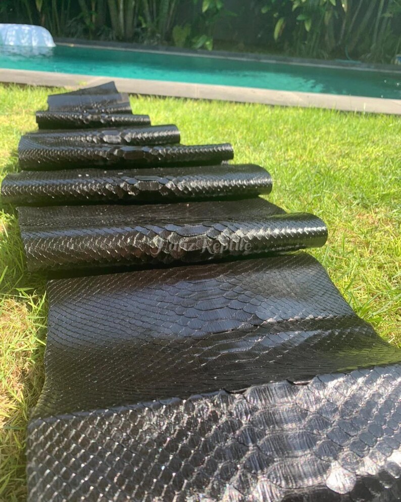 Peut inclure: Plusieurs rouleaux de peau de reptile noire sont dispos&eacute;s sur de l'herbe verte. Les &eacute;cailles sont visibles et le mat&eacute;riau semble brillant. L'arri&egrave;re-plan comprend une piscine et de la verdure.
