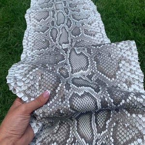 Może przedstawiać: Zbliżenie dwóch kawałków skóry węża. Skóra ma wzór szarych, białych i brązowych łusek. Skóra leży na zielonej trawie. Jeden kawałek jest trzymany przez dłoń.