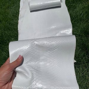 May include: White snakeskin leather sheets with a scaly texture are shown on green grass. The leather is partially rolled up, revealing the underside. The image shows a close-up of the material, highlighting its pattern and colour.