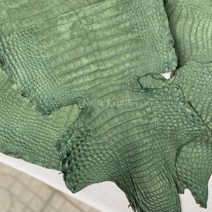 Könnte beinhalten: Mehrere Stücke grünes Krokodilleder liegen auf einer weißen Oberfläche. Das Leder hat eine strukturierte, schuppige Oberfläche mit verschiedenen Grüntönen. Das Bild ist gut beleuchtet und hebt die Details der Lederoberfläche und die natürlichen Muster hervor.