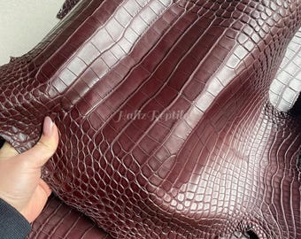 Plein cuir d'alligator | Ventre brun foncé | Entier blanchi tanné | pour travaux manuels et accessoires