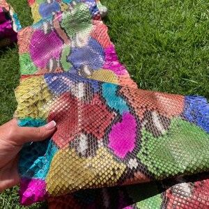 Könnte beinhalten: Ein Patchwork aus farbenfroher Schlangenhaut in Pink-, Grün-, Gelb-, Rot- und Blautönen. Die Schlangenhaut wird vor einem Hintergrund aus grünem Gras gehalten. Die Schlangenhaut hat eine schuppige Textur.