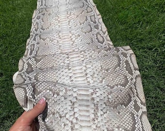 Peau de cuir de python véritable | Peau naturelle mate du ventre birmane non blanchie provenant d'une tannerie indonésienne