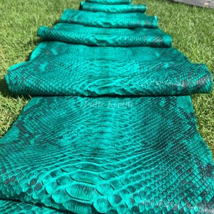 Peut inclure: Plusieurs peaux de reptile vert émeraude sont disposées sur de l'herbe verte. Les peaux, avec un motif texturé et écailleux et des accents vert foncé et noirs, sont pliées et superposées. L'image met en valeur la texture naturelle et les variations de couleur.