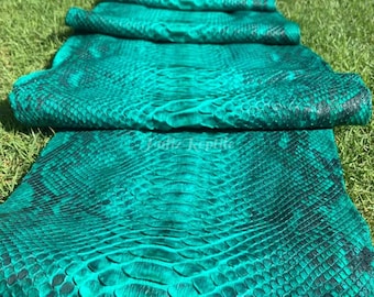 Peau de cuir de python véritable | Ventre réticulé vert turquoise, non blanchi, provenant d'une tannerie indonésienne