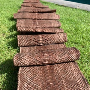 Può includere: Primo piano di diverse pelli di cuoio marrone strutturate arrotolate. Le pelli sono disposte su un letto di erba verde. La pelle ha un motivo a scaglie e i rotoli sono impilati in fila.