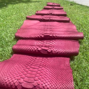 May include: Rolled burgundy-colored snakeskin leather sheets arranged on green grass. The sheets are textured with a scale pattern, and the edges are rolled up. The snakeskin is a deep, rich shade of burgundy.