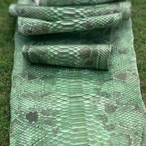 May include: Green snakeskin leather, partially rolled, with a textured scale pattern. The leather has a mottled appearance with darker green and brown accents. The text "Tafiz Reptile" is visible on the leather.