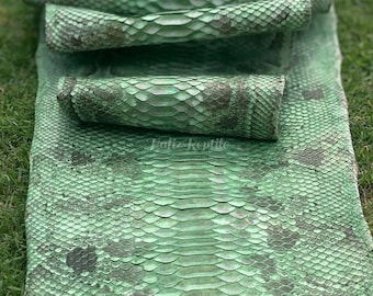 Peau de cuir de python véritable | Ventre de Bornéo vert menthe non blanchi provenant d'une tannerie indonésienne