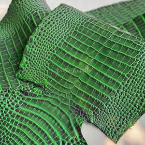 Könnte beinhalten: Nahaufnahme von grünem, alligator-strukturiertem Leder. Das Leder hat eine glänzende Oberfläche und ein detailliertes Muster aus Schuppen und Rippen. Die Farbe ist ein leuchtendes Grün mit dunkleren Grüntönen, die Tiefe und Textur erzeugen.